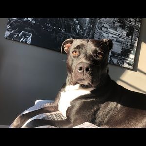 Meet your Posher, Robert